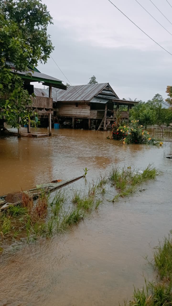 BPBD Sulbar Terima Laporan Kejadian Banjir di Mamuju Tengah, Instruksikan Penanganan Cepat, Tepat dan Terkoordinasi